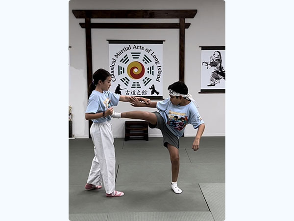 Classical Martial Arts of Long Island Summer Camp
