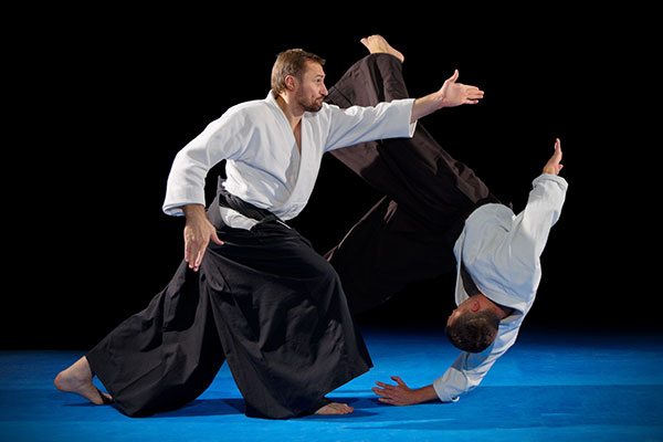 Classical Martial Arts of Long Island Aikido