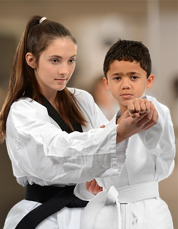 Special Needs Karate Program Button